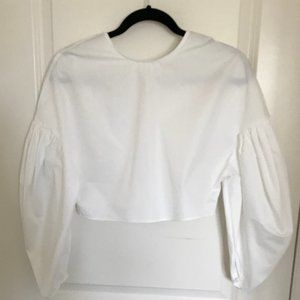 Zara Puff Sleeve Croptop